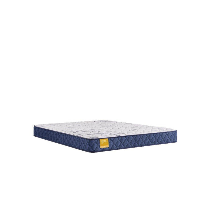 Glacier Park Foam Mattress