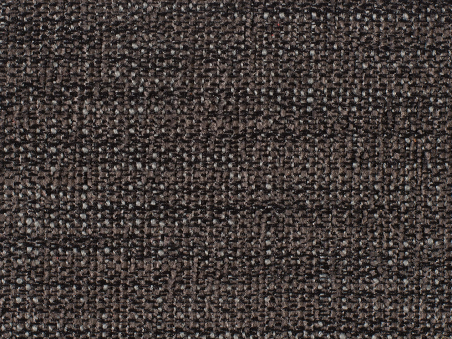 Curata - Upholstered Bench - Dark Gray